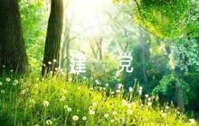 1000字論文弘揚(yáng)偉大建黨精神(通用9篇)