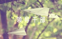 關(guān)于對領(lǐng)導(dǎo)干部的評價優(yōu)點和缺點【十一篇】