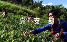 如何做好一名基層黨支部紀檢委員六篇