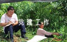 黨支部黨建工作責(zé)任清單范文(通用8篇)