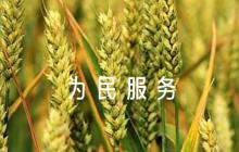 為民服務(wù)方面存在的問(wèn)題及整改措施 十篇