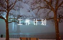 關(guān)于黨建工作總結(jié)及工作計(jì)劃【九篇】
