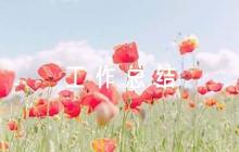 關(guān)于農(nóng)業(yè)生產(chǎn)社會(huì)化服務(wù)工作總結(jié)【十篇】