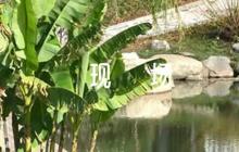 消防安全應(yīng)急預(yù)案和火災(zāi)現(xiàn)場處置方案范文三篇