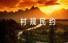 全國(guó)100條優(yōu)秀村規(guī)民約范文(通用9篇)