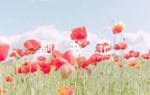學(xué)校黨支部副書記表態(tài)發(fā)言集合8篇