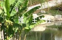 班主任育人故事2000字范文十二篇