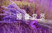 預(yù)備黨員考察情況記錄四個(gè)季度八篇