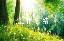 巡察干部鑒定表個人工作總結(jié)【12篇】