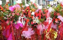 紅領(lǐng)巾獎?wù)轮饕论E500字9篇