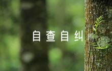 黨建自查自糾報告及整改措施范文(通用8篇)