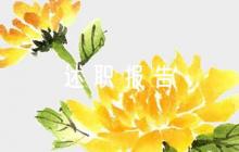 退役軍人事務(wù)局述職報(bào)告【9篇】
