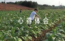 工程建設(shè)領(lǐng)域以案促改心得體會12篇