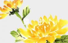關于師德師風讀書筆記摘抄10000【十一篇】