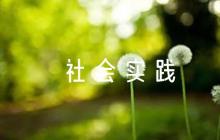大學(xué)生鄉(xiāng)村振興社會(huì)實(shí)踐報(bào)告3000字【十二篇】
