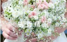 黨內(nèi)法規(guī)執(zhí)行情況自查報告范文(精選9篇)