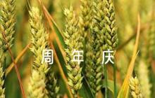 公司30周年慶征文范文五篇