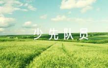 二年級(jí)優(yōu)秀少先隊(duì)員事跡材料 優(yōu)秀少先隊(duì)員主要事跡7篇