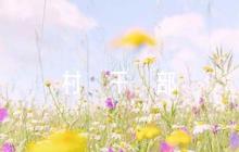 村干部考核評(píng)語(通用11篇)