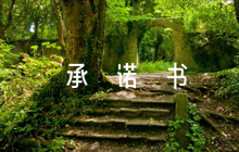培訓(xùn)機(jī)構(gòu)意識形態(tài)工作承諾書五篇