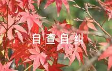 政治忠誠(chéng)方面自查自糾(通用6篇)