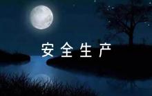 航空公司安全生產(chǎn)月征文【七篇】