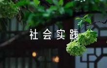 返家鄉(xiāng)社會(huì)實(shí)踐報(bào)告3000字范文(通用12篇)