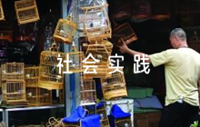 大學(xué)生返家鄉(xiāng)社會(huì)實(shí)踐報(bào)告1500字9篇