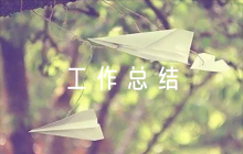 造價(jià)工程師工作總結(jié)800字范文(精選7篇)