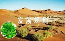 名師工作室三年發(fā)展規(guī)劃范文(通用6篇)