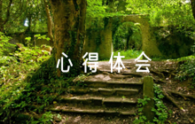 形式政策心得體會(huì)1000字范文(精選9篇)