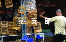 黨支部工作亮點集合8篇