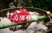 思想政治培訓(xùn)心得體會(huì)(通用11篇)
