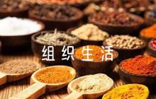 組織生活查擺問題清單及整改措施范文(精選12篇)