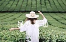 綠水青山就是金山銀山論文1500字【八篇】