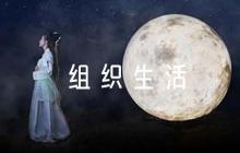 組織生活會對領導的批評意見范文(精選12篇)