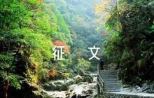 銀行廉政廉潔征文8篇