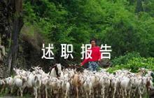 銀行支行黨支部書記抓基層黨建述職報告【七篇】