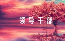 關(guān)于領(lǐng)導干部政治素質(zhì)自我評價材料【十篇】