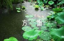 個人總結(jié)遵章守紀方面范文(精選11篇)