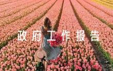 教師人大代表審議政府工作報告發(fā)言【8篇】