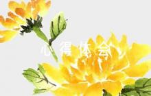 中國(guó)共產(chǎn)黨統(tǒng)一戰(zhàn)線工作條例心得體會(huì)范文(通用7篇)
