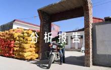 關(guān)于大學(xué)生自我成長(zhǎng)報(bào)告自我成長(zhǎng)分析報(bào)告2000【十一篇】