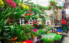 關(guān)于大學(xué)生返家鄉(xiāng)社會(huì)實(shí)踐報(bào)告【九篇】