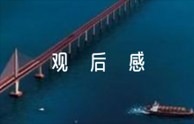 警示教育片《鏡鑒》觀后感心得體會(huì)【8篇】