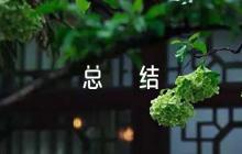 團(tuán)員評議個(gè)人總結(jié)集合8篇