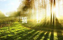 美文摘抄300字【七篇】