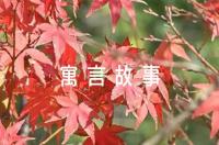 濫竽充數寓言故事(通用9篇)