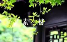 語文摘抄高中素材6篇